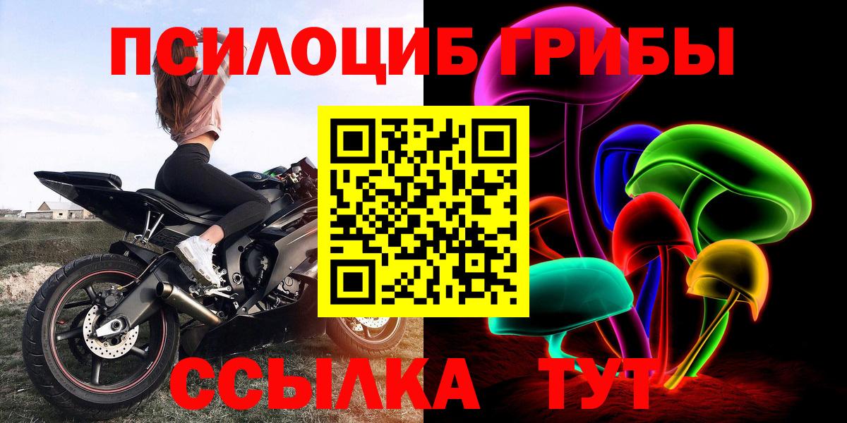 A PVP Свободный